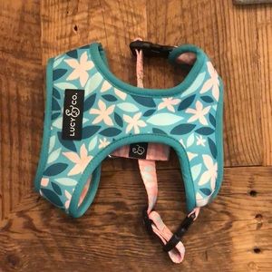 Lucy & Co. Dog Harness